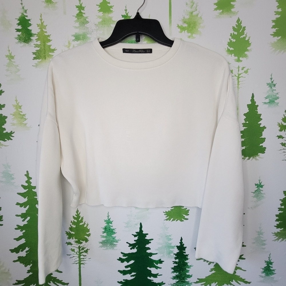 Zara Knit Cropped Sweater.